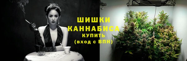 мдпв Няндома
